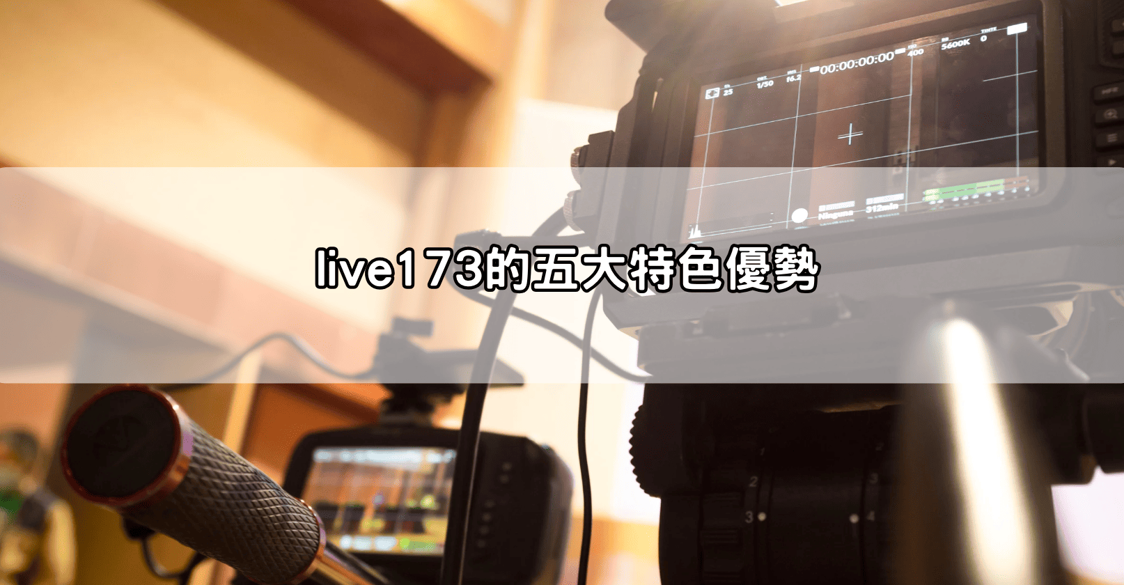 live173的五大特色優勢